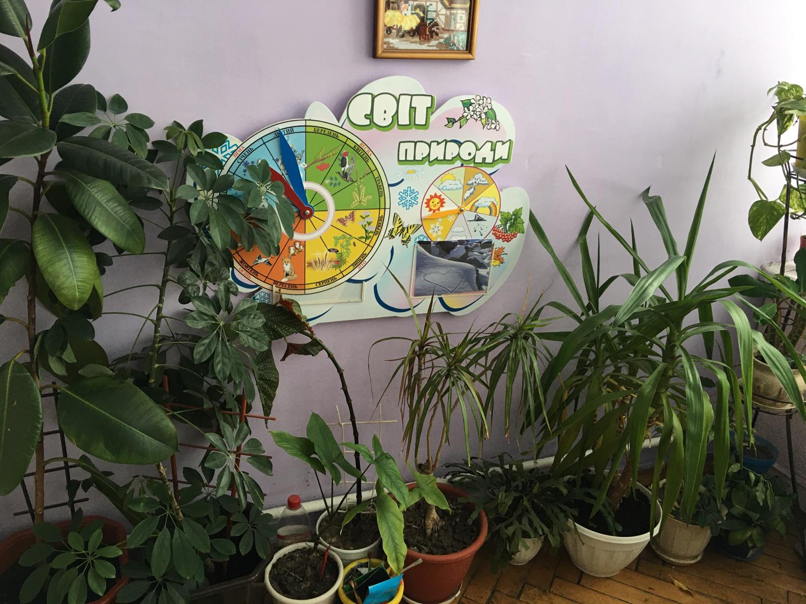 30